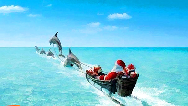 Santa and his dolphin crew