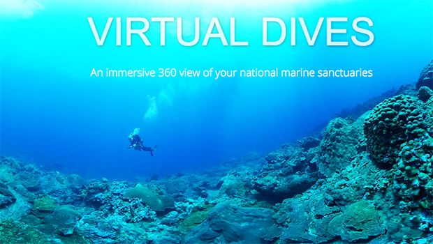 National Marine Sanctuaries photo of dive