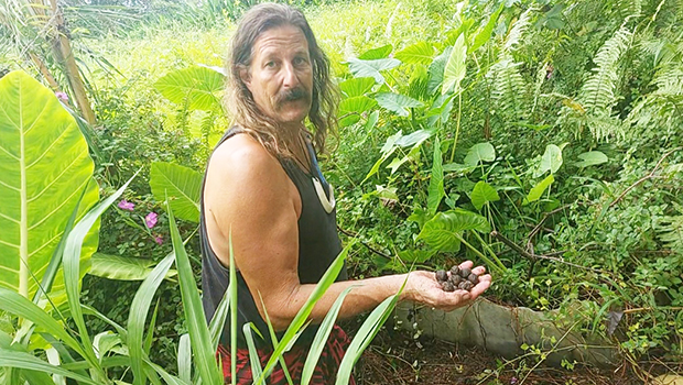 CANDYMAN with Lama nuts