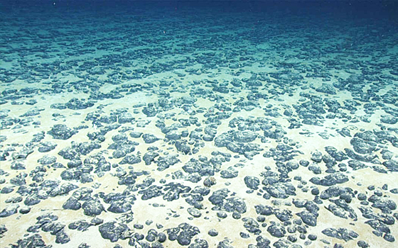Polymetallic nodules