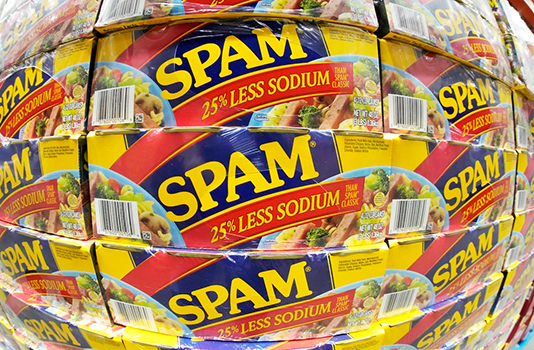 SPAM graphic