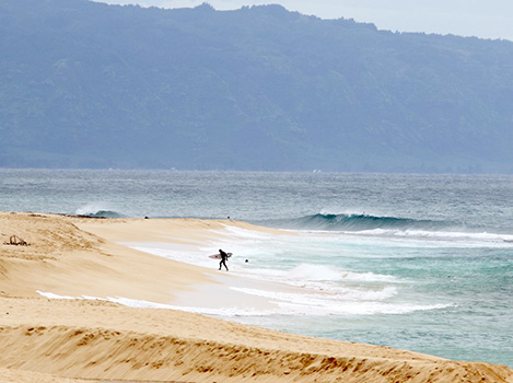 A surfer at Haleiwa HA