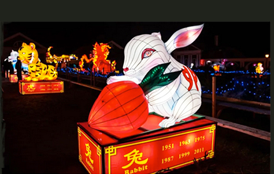 Year of the Rabbit graphic