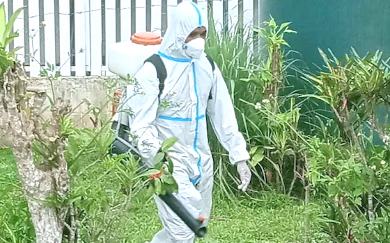 SPRAYING TO PREVENT DENGUE FEVER