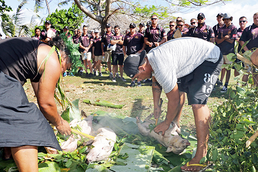 Pigs in the umu