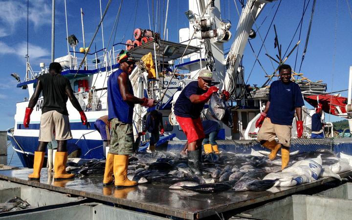 Unloading yellowfin from a longliner  in Tonga