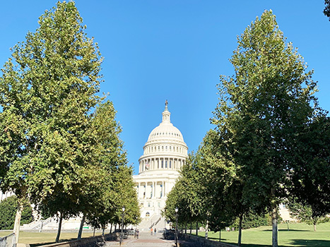 u.s. capitol building