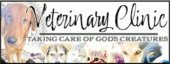 VET BANNER