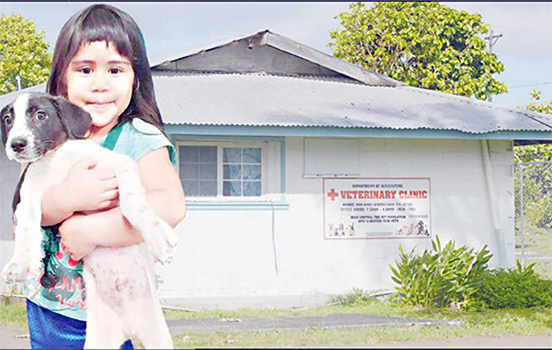 child with dog at vet clinic