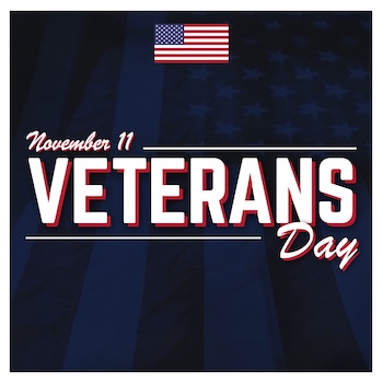 Veterans Day LOGO