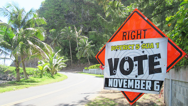 A sign from the East Side reminding the public to vote today in local elections