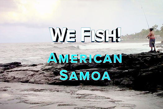 Man fishing off the shore