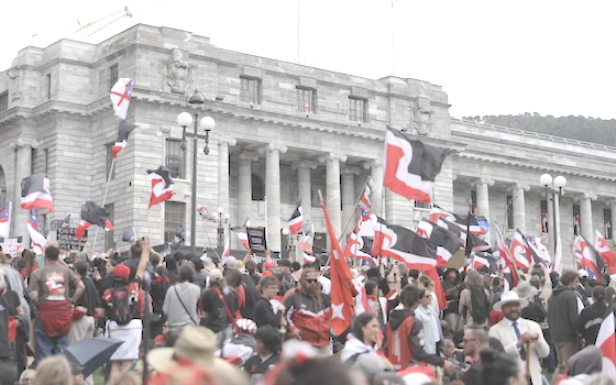  The hīkoi protesting against the Treaty Principles Bill in Wellington 