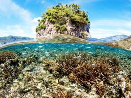 Fatu ma Futi above and below the water line.