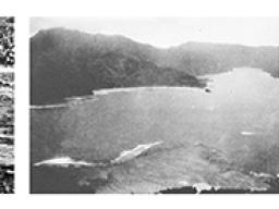 Marine biologist Alfred Mayor’s 1917 photos