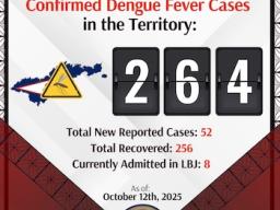 dengue fever cases