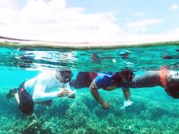 Marine Science students underwater examining reef