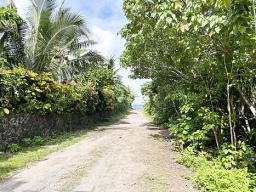 location where flight Pan Am flight 806 crashed