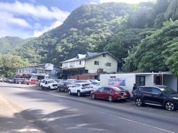 rental cars parked along main road