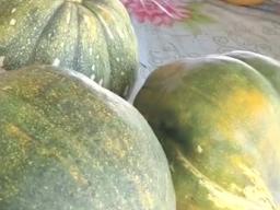 stolen produce