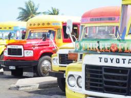 Aiga buses