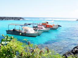 Three alia boats tethered to shore