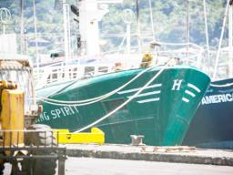 Part of the American Samoa longliner fleet