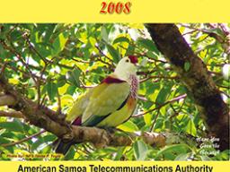 Am Samoa 2008 phone book