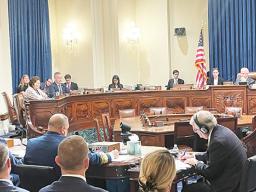 Amata speaking in committee