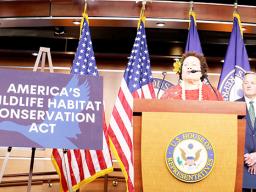 Congresswoman Uifa’atali Amata speaking