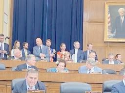 Amata in committee
