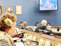 Congresswoman Amata during Wednesday’s Small Business Committee