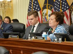 Amata in veterans committee meeting
