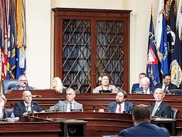 Vice Chairman Amata in Veterans Committee