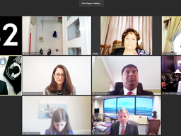  Congresswoman Amata and others in virtual committee meeting