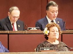 Congresswoman Amata in Veterans’ Committee with Ranking Member Dr. Phil Roe and Chairman Mark Takano