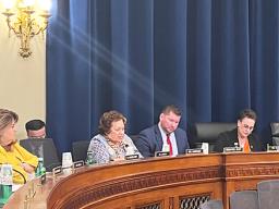 Congresswoman Uifa’atali Amata  speaking in committee