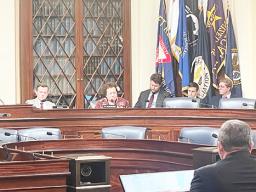 Amata speaking in committee