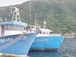 Moored longline boats in Pago Pago Harbor
