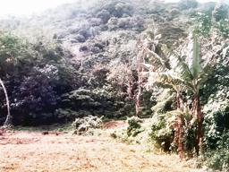 Historical photo of previous rifle range that was closed in 1997