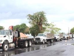 FREE  BULK WASTE COLLECTION trucks