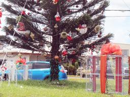 ASPA Christmas tree on the Airport road