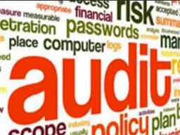 AUDIT GRAPHIC