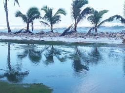 Photo of high surf on Aunu'u