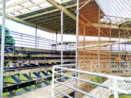 Condition of Solaita baseball stands