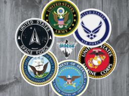 branches of military insignia