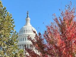 u.s. capitol building