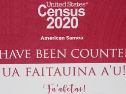 I HAVE BEEN COUNTED POSTER