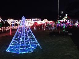 Christmas lights at Nuuuli