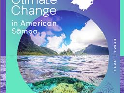 Cover of Report